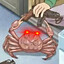 Huck the Crab