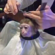 zach ski