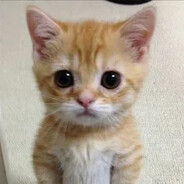 Котямба - steam id 76561198422086552