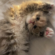 . - steam id 76561199030288774