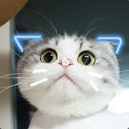 你好我是大熊猫