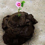 最强发胶使用者