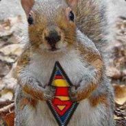 N3crO` - steam id 76561197961382731
