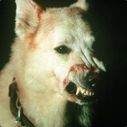 BOCHA733`R | Gamdom.com