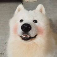 魔仙堡下的小卖部老板