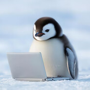 pinguinchik13