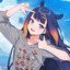 SUPLONG谢