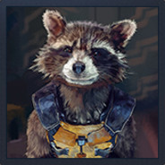☮ Jet Raccoon // 卖家 & 买