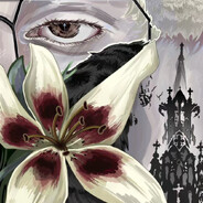 чемпион - steam id 76561199401069403