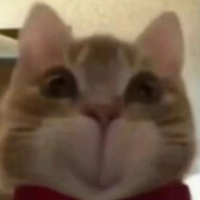 冷静游戏不许压力