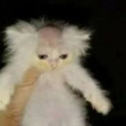 体弱多病牛牛硬硬