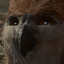 Owly the Bear