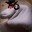 Evil Sock Puppet