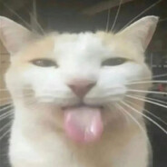 小丽我又喝了一斤多