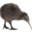 Anonymous Kiwi