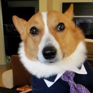 Malcom de Corgi