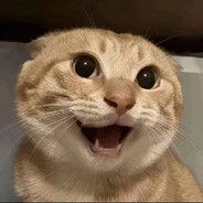 哈基米南北绿豆