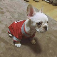 咸鱼翻身是什么