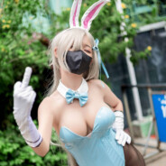 闪电连鞭马保国