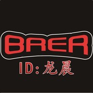 501576丶龙晨 Brer队员