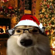 kmszzcase.gift avatar