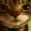 puko