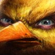 zoltywkurwionyptaszor