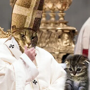 Тупой долбоёб.