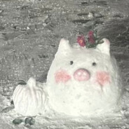 𝘽𝙚𝙧𝙧𝙖𝙗𝙤𝙞