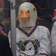 Duck