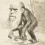 DARWIN