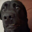 sit