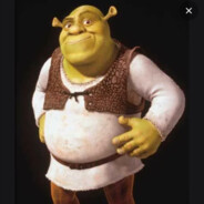 SHREK - steam id 76561199236098016