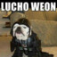 LuchoT