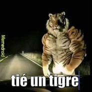OhTiéUnTigre