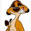 Timon