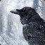 RaVeN1404