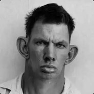 Лесное убежище