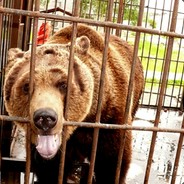 Не лезь блять