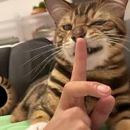 还请你多理解我