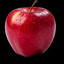 TotallyRealTomato
