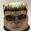Albert Whiskers