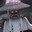 vRSM -