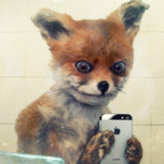 fox after drugs