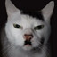 CATLER