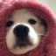 T1zzzzz