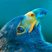 erjon - steam id 76561198883228601