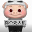 宝宝别误会