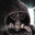 Shadow's Avatar