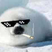 たてごとアザラシ